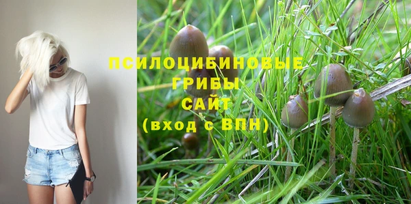 круглые Аркадак