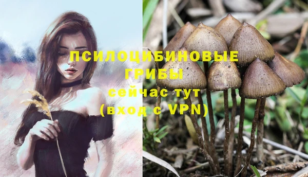 ешки Баксан
