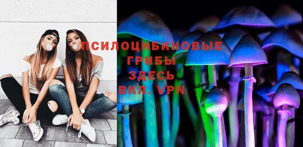шишки Балахна