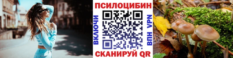 Псилоцибиновые грибы прущие грибы  Данков 